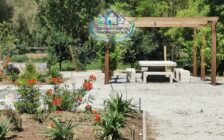 TERRENO PARQUIZADO 5000 m2 con salida a Cancha de Golf y Club House en Las Brisas de Chicureo